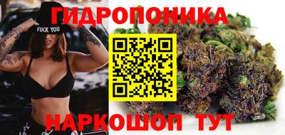 Альфа ПВП Будённовск